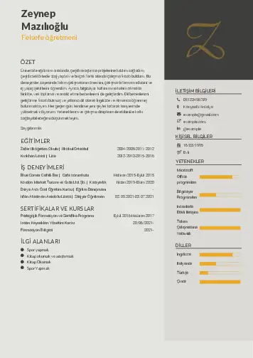 Felsefe Öğretmeni CV Örnekleri cv indir